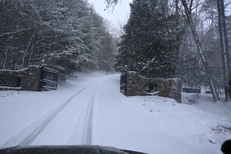 DSC_0227.JPG